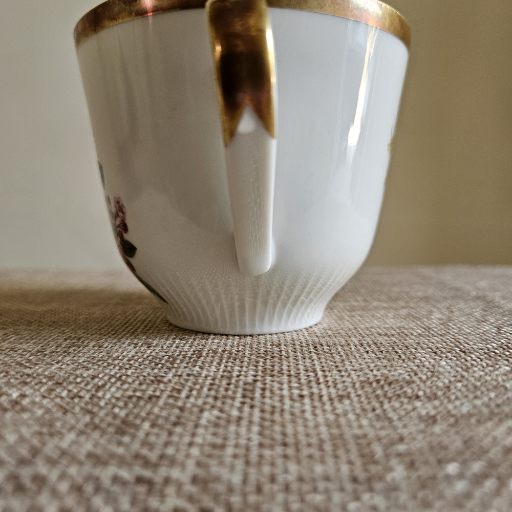 Schumann Arzberg‎ Teacup - Picture 4 of 9